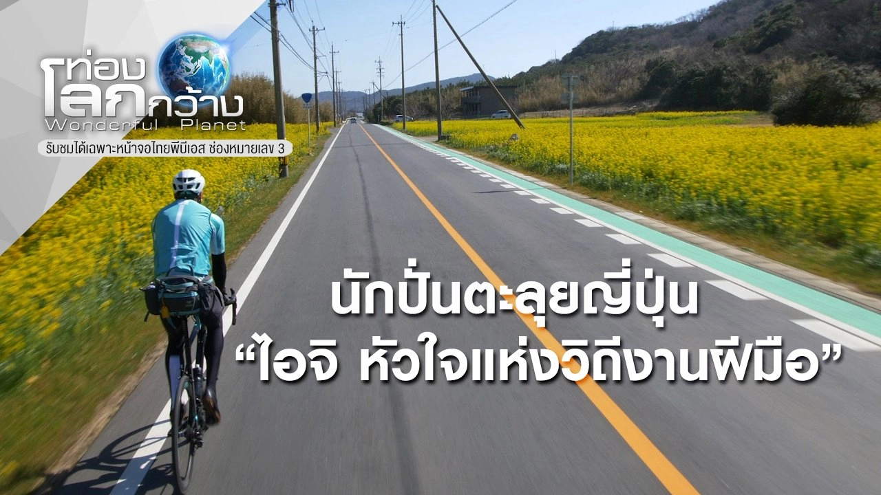 ปั่นจักรยานสำรวจจังหวัดไอจิในฤดูใบไม้ผลิ ที่ดอกไม้บานสะพรั่ง