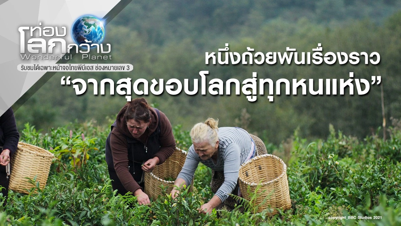 หนึ่งถ้วยพันเรื่องราว ตอน จากสุดขอบโลกสู่ทุกหนแห่ง