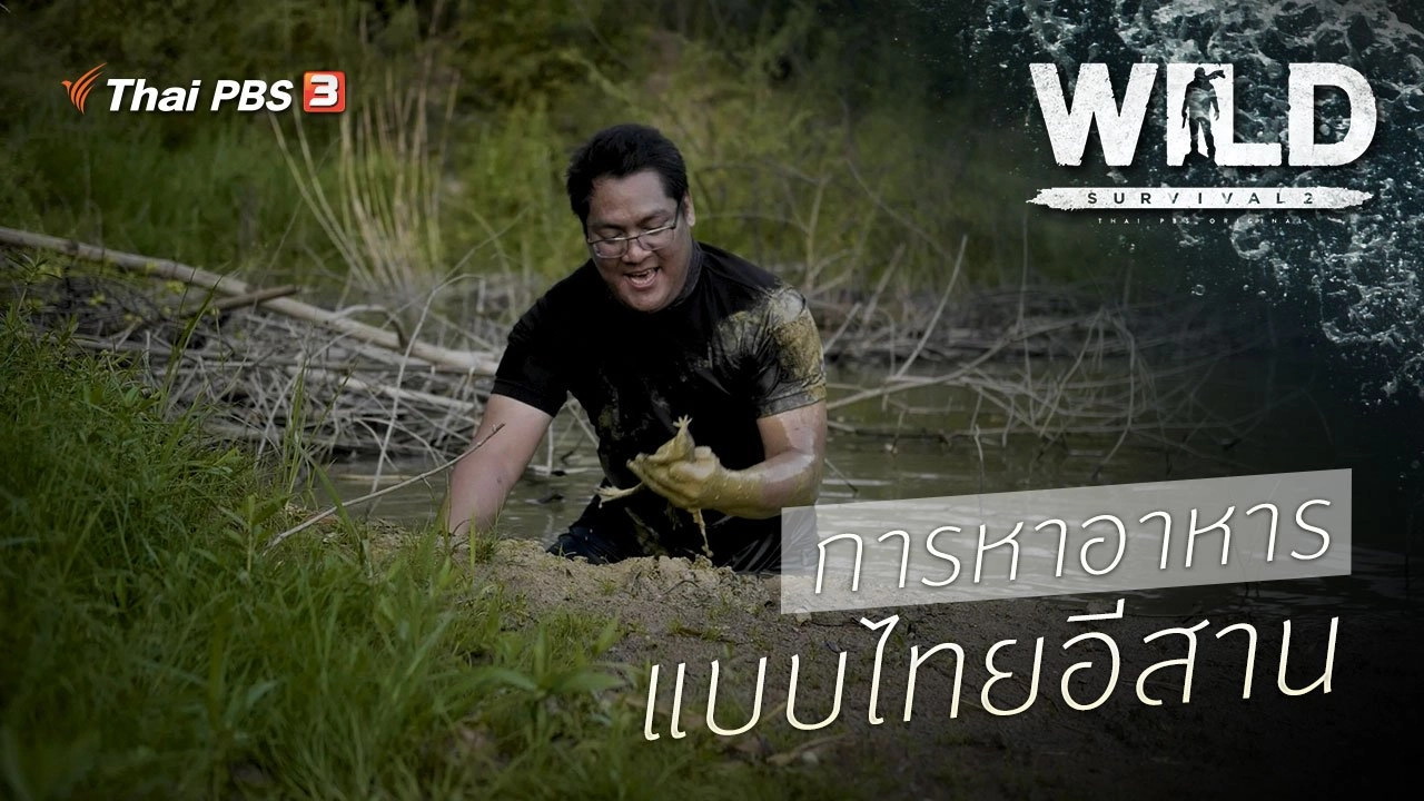 การหาอาหารแบบไทยอีสาน