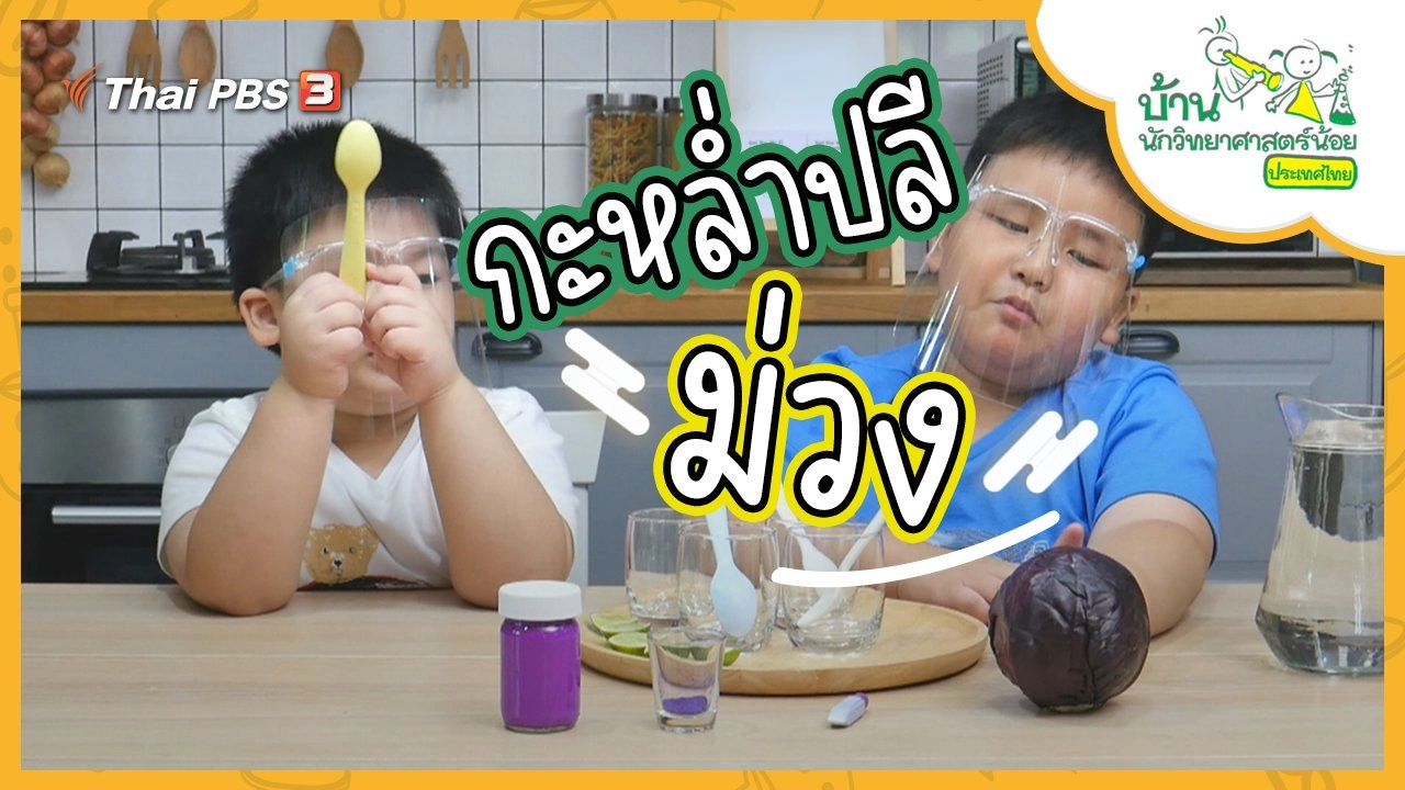 กะหล่ำปลีม่วง