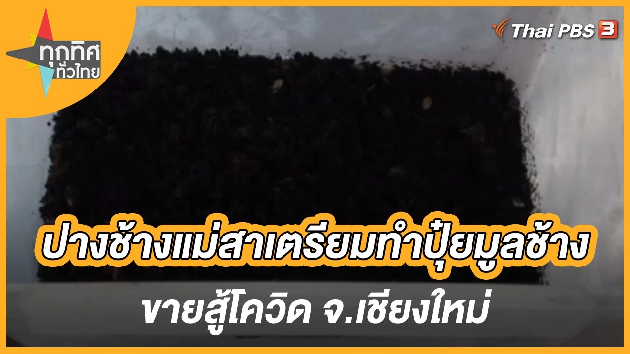 ปางช้างแม่สาเตรียมทำปุ๋ยมูลช้างขายสู้โควิด จ.เชียงใหม่
