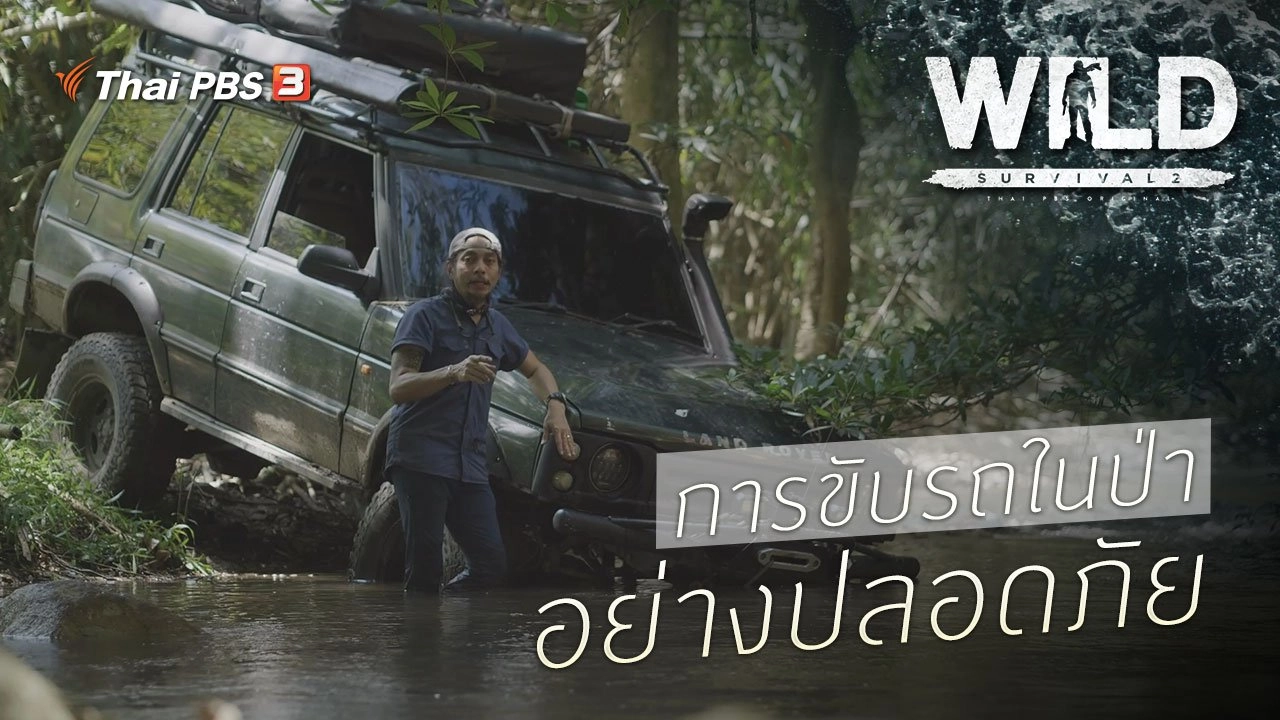 การขับรถในป่าอย่างปลอดภัย