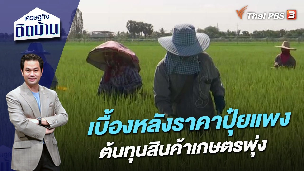 เบื้องหลังราคาปุ๋ยแพง-ต้นทุนสินค้าเกษตรพุ่ง