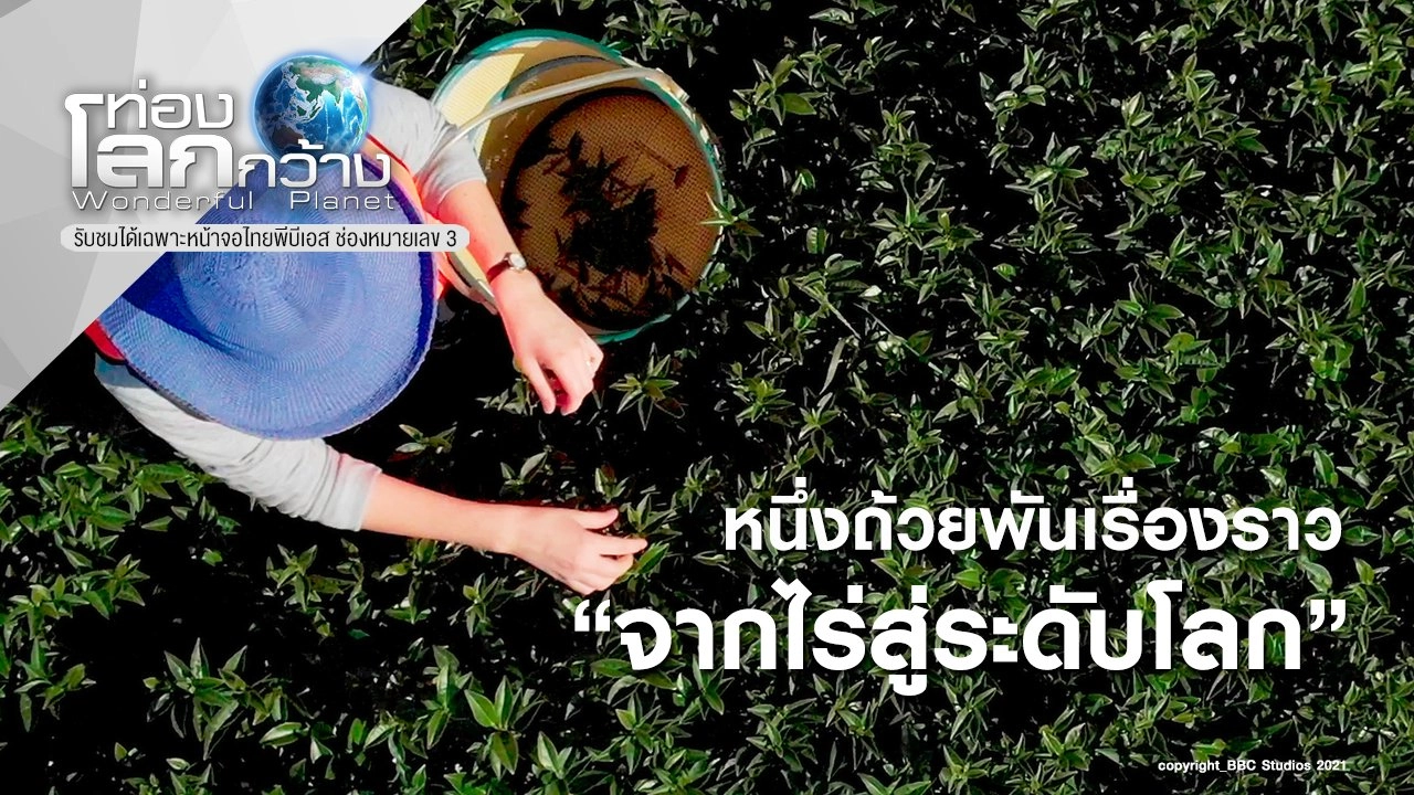 หนึ่งถ้วยพันเรื่องราว ตอน จากไร่สู่ระดับโลก