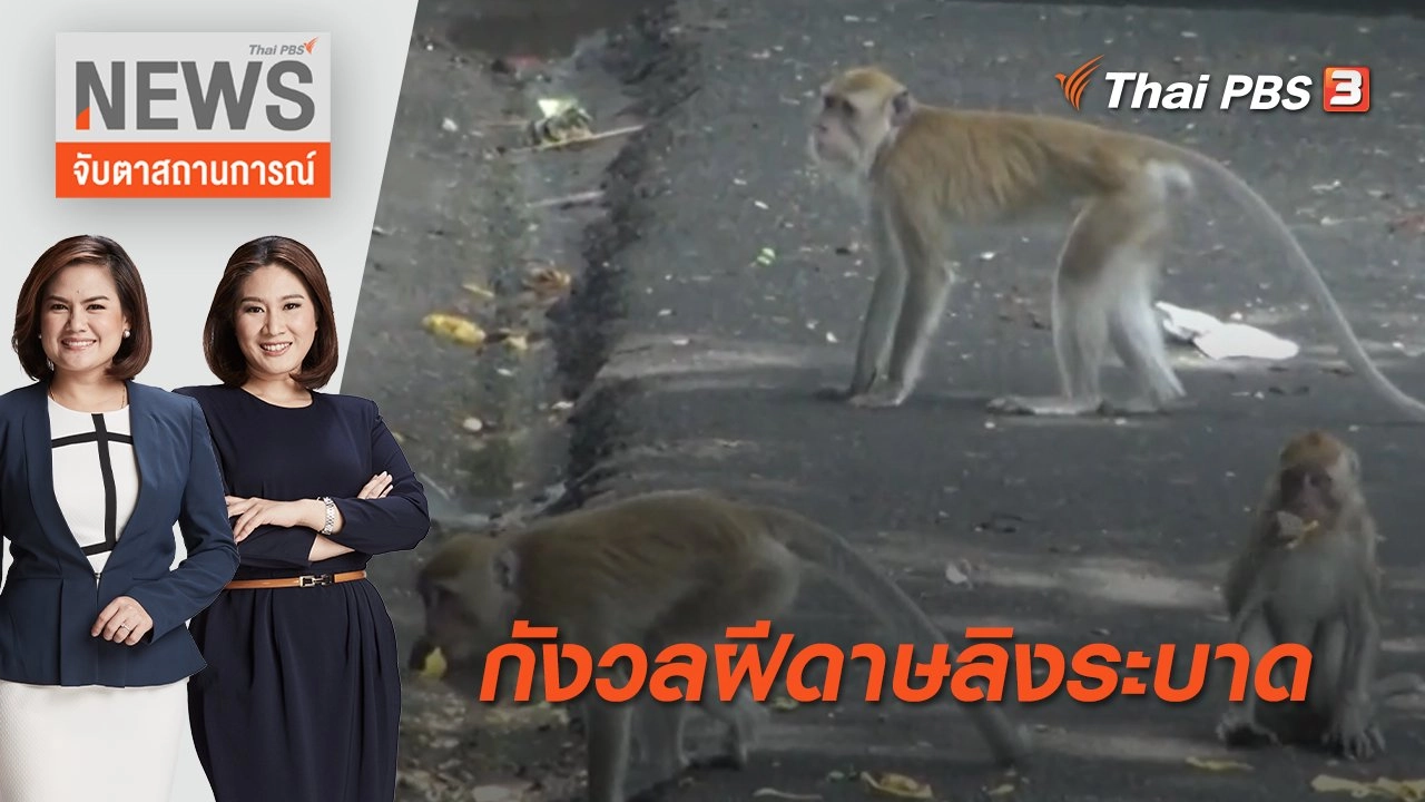 กังวลฝีดาษลิงระบาด | จับตาสถานการณ์ | 30 พ.ค. 65