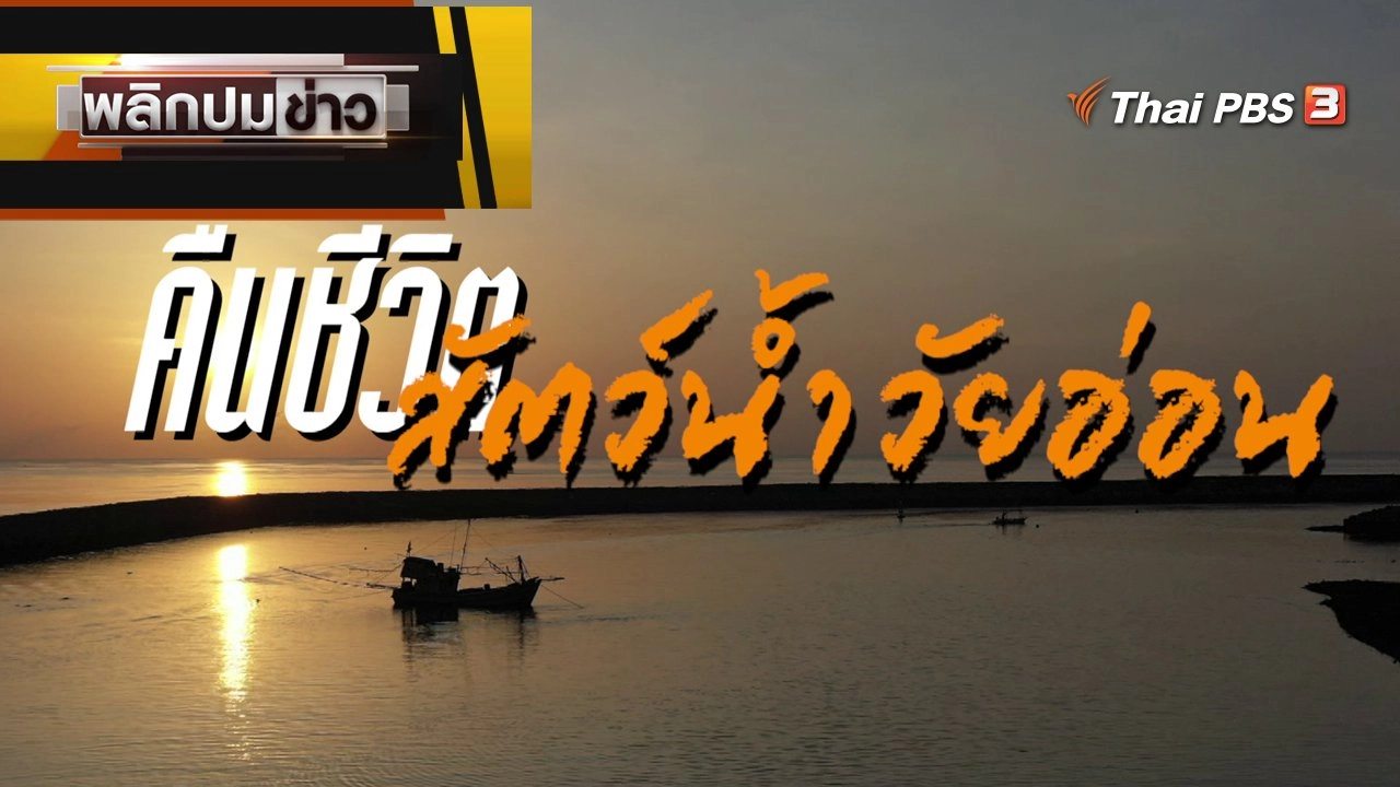 คืนชีวิต สัตว์น้ำวัยอ่อน