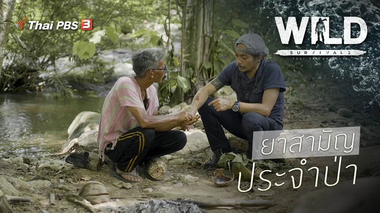 ยาสามัญประจำป่า