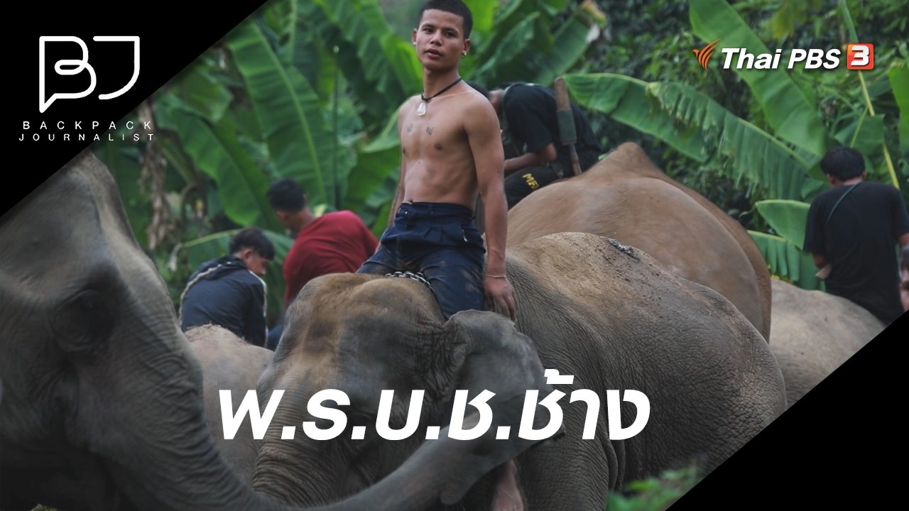 พ.ร.บ.ช.ช้าง