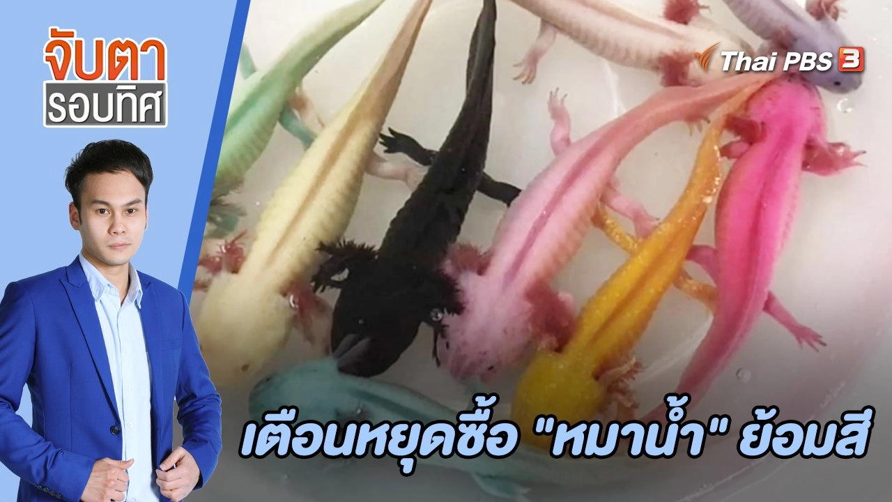 เตือนหยุดซื้อ "หมาน้ำ" ย้อมสี | จับตารอบทิศ | 8 มิ.ย. 65