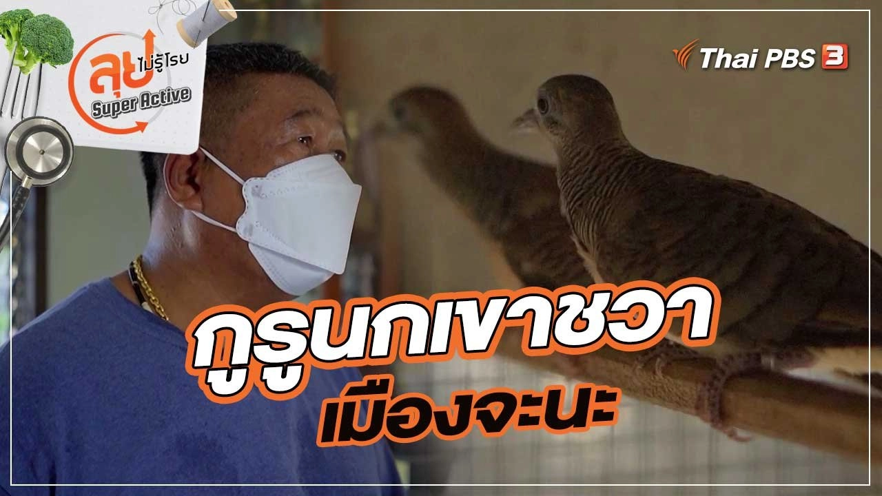 กูรูนกเขาชวาเมืองจะนะ