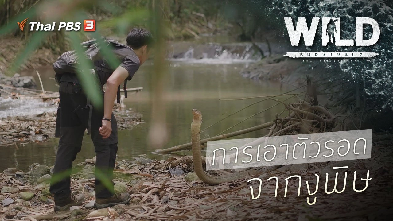 การเอาตัวรอดจากงูพิษ