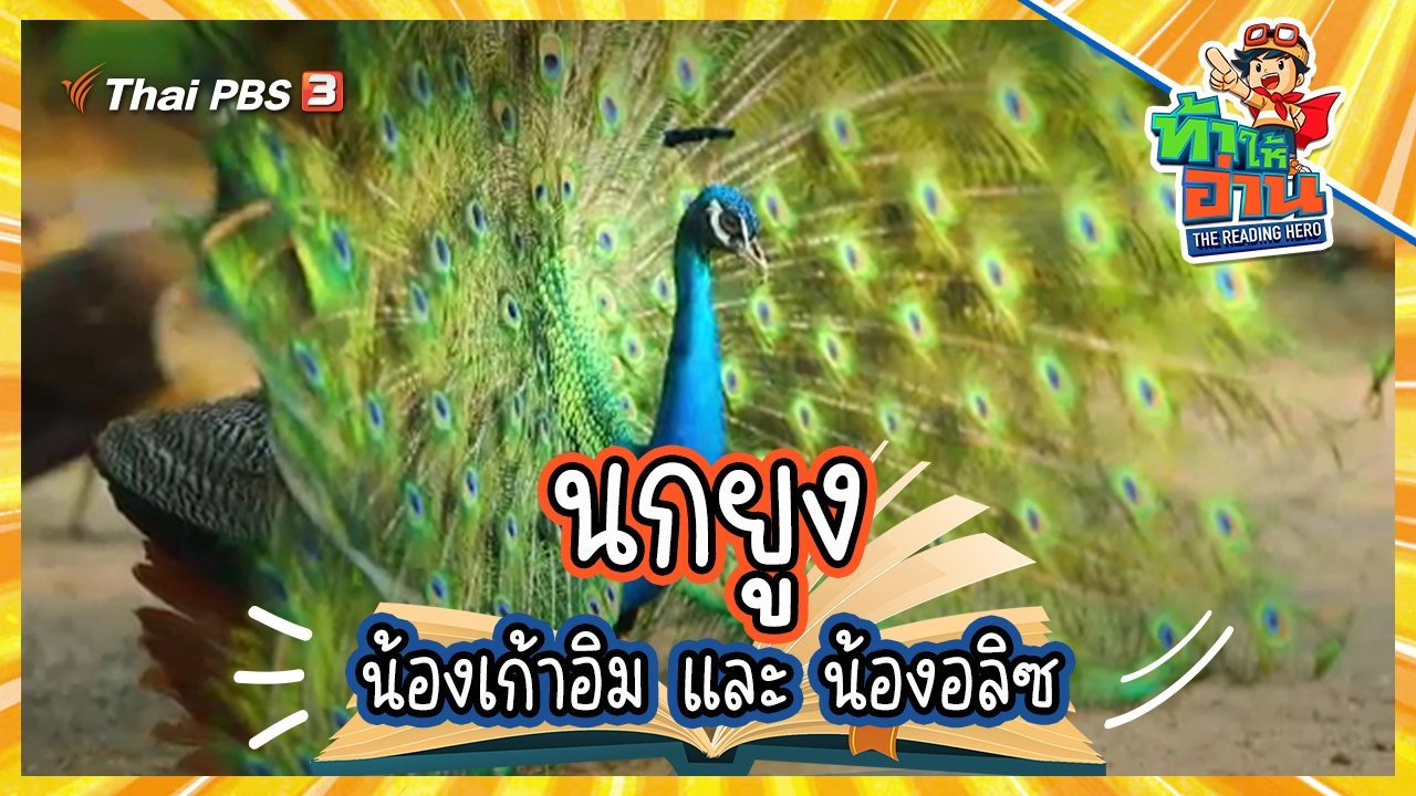 นกยูง : น้องเก้าอิมและน้องอลิซ