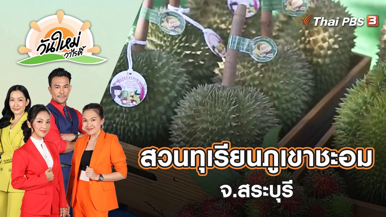 เปิดแหล่งท่องเที่ยวสวนทุเรียนภูเขาชะอม จ.สระบุรี | วันใหม่วาไรตี้ | 10 มิ.ย. 65