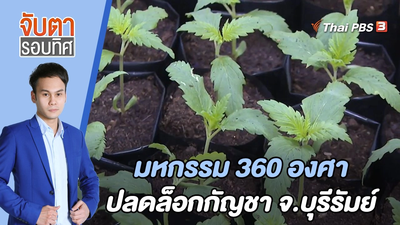 มหกรรม 360 องศา ปลดล็อกกัญชา จ.บุรีรัมย์ | จับตารอบทิศ | 10 มิ.ย. 65