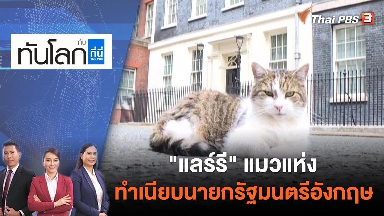 "แลร์รี" แมวแห่งทำเนียบนายกรัฐมนตรีอังกฤษ | ทันโลก กับ ที่นี่ Thai PBS | 8 มิ.ย. 65