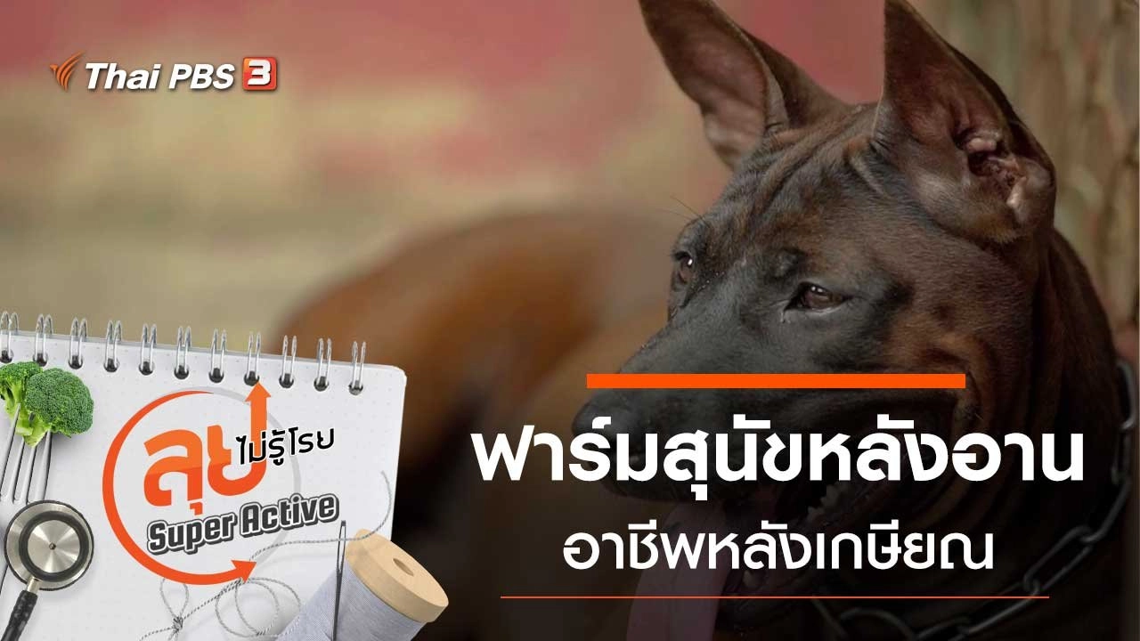 ฟาร์มสุนัขหลังอาน หลังเกษียณ