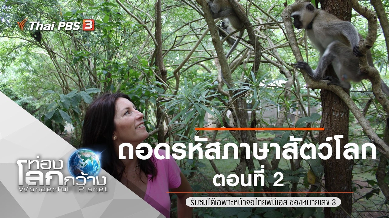 ถอดรหัสภาษาสัตว์โลก ตอนที่ 2
