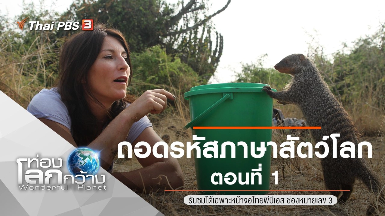 ถอดรหัสภาษาสัตว์โลก ตอนที่ 1