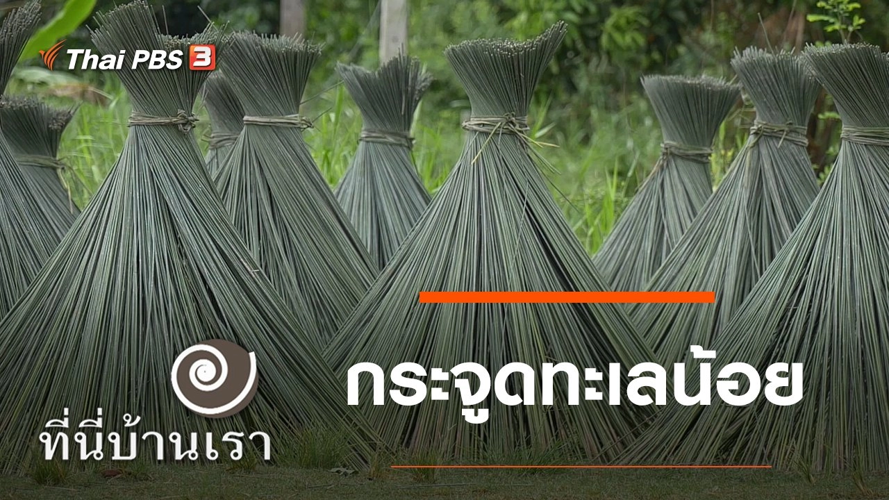 กระจูดทะเลน้อย