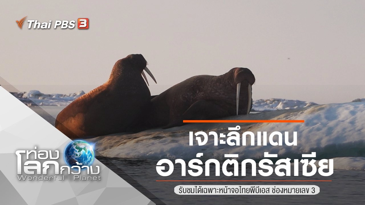 เจาะลึกแดนอาร์กติกรัสเซีย