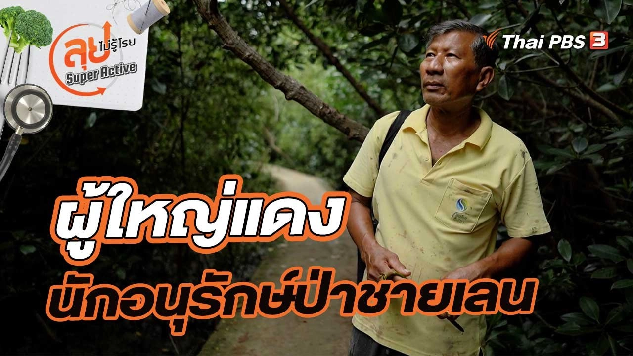 ผู้ใหญ่แดง นักอนุรักษ์ป่าชายเลน