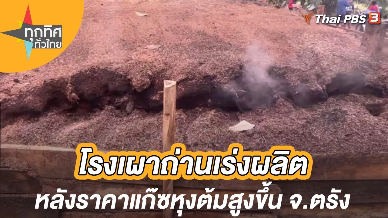 โรงเผาถ่านเร่งผลิตหลังราคาแก๊ซหุงต้มสูงขึ้น จ.ตรัง