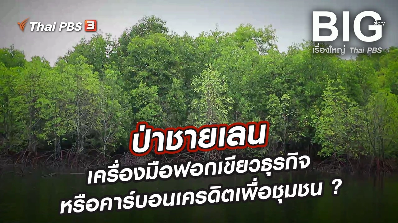 ​ป่าชายเลน…เครื่องมือฟอกเขียวธุรกิจ หรือคาร์บอนเครดิตเพื่อชุมชน ?