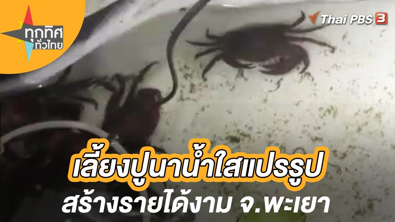 เลี้ยงปูนาน้ำใสแปรรูปสร้างรายได้งาม จ.พะเยา