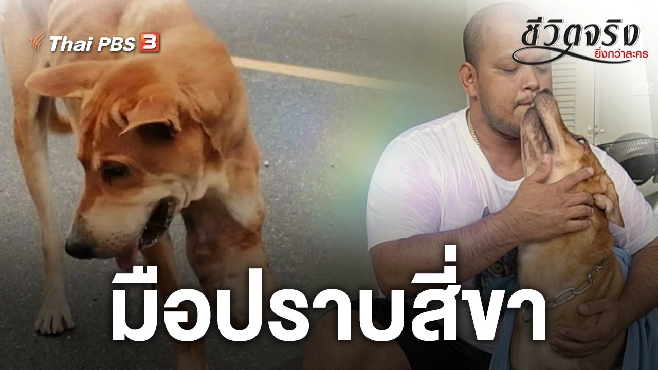 มือปราบสี่ขา