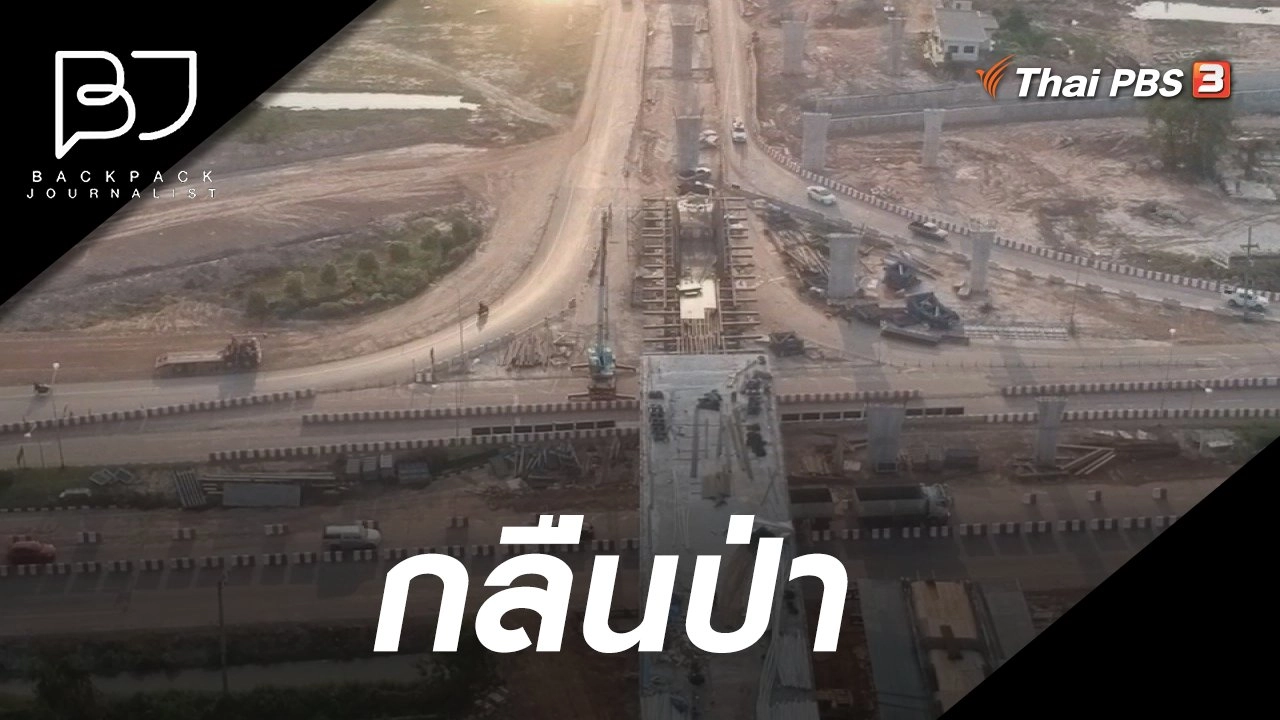 กลืนป่า