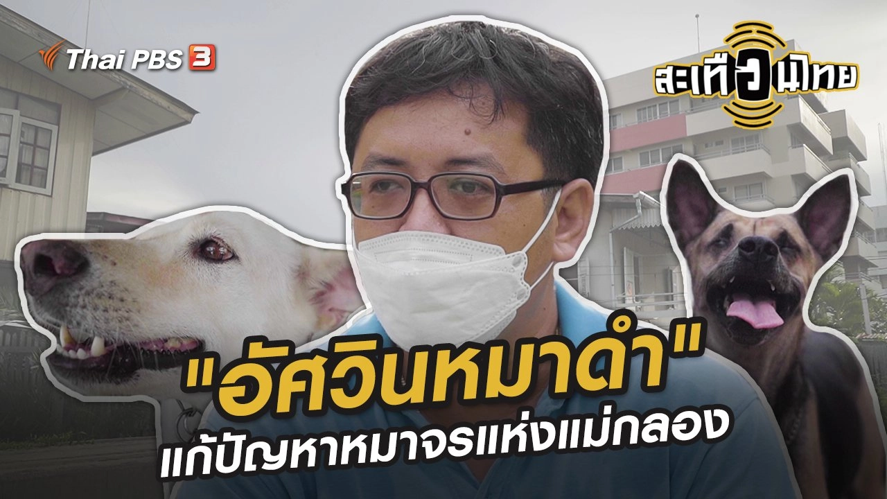 "อัศวินหมาดำ" คนธรรมดาที่แก้ปัญหาหมาจรแห่งแม่กลอง