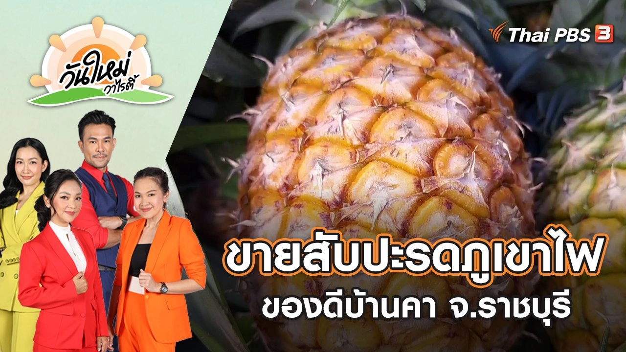 เกษตรกรเปิดท้ายรถขายสับปะรดภูเขาไฟของดีบ้านคา จ.ราชบุรี | วันใหม่วาไรตี้ | 13 มิ.ย. 65