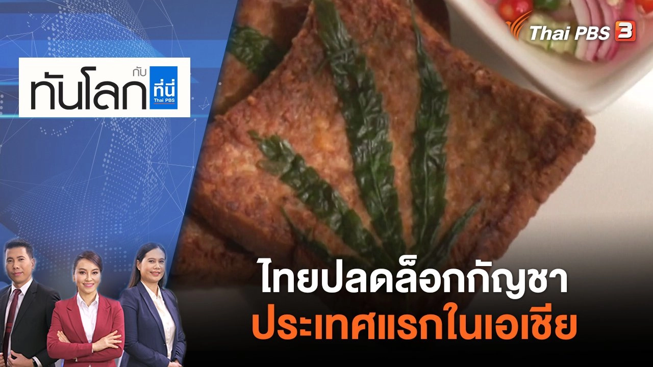 ไทยปลดล็อกกัญชาประเทศแรกในเอเชีย | ทันโลก กับ ที่นี่ Thai PBS | 10 มิ.ย. 65