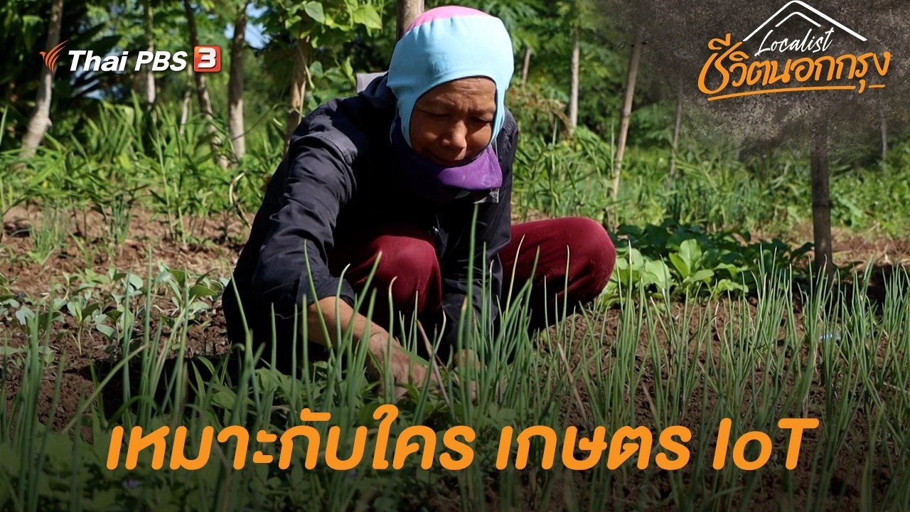 เหมาะกับใคร เกษตร IoT