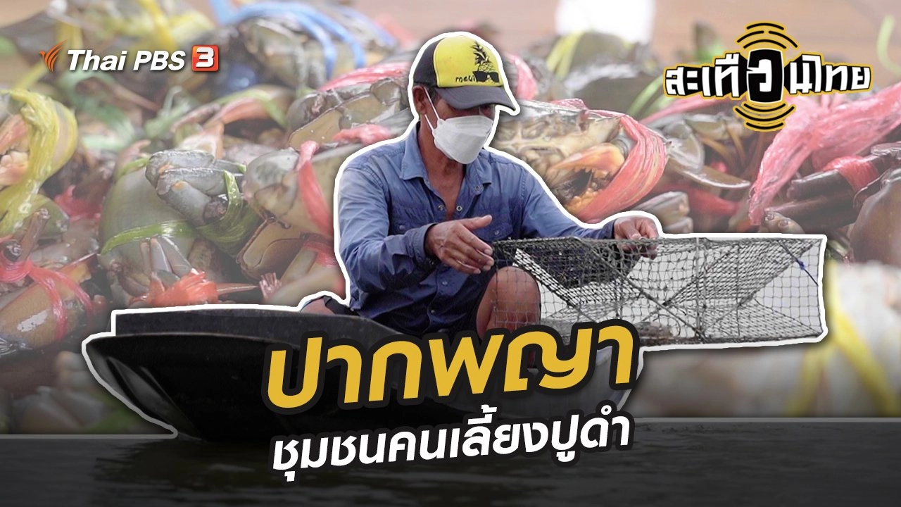 ปากพญา ชุมชนคนเลี้ยงปูดำ