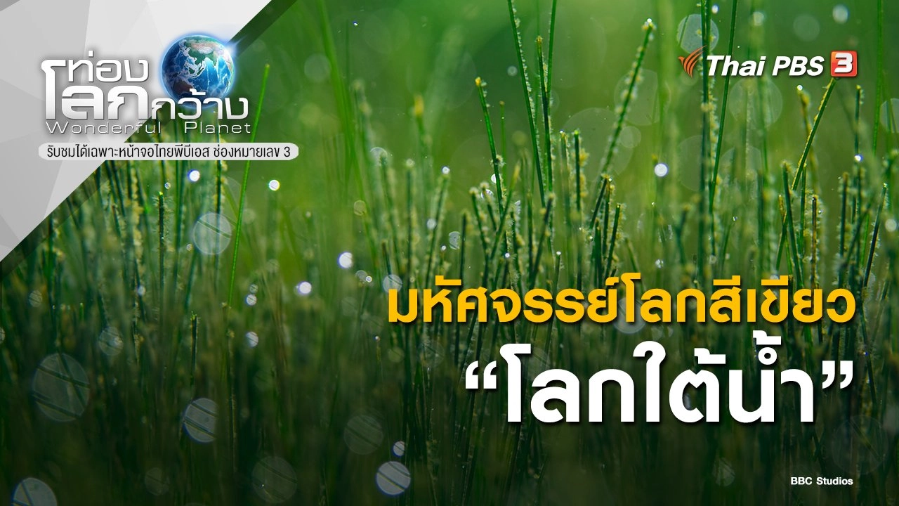 มหัศจรรย์โลกสีเขียว ตอน โลกใต้น้ำ