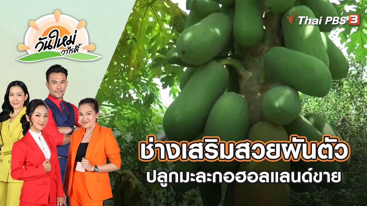 ช่างเสริมสวยผันตัวปลูกมะละกอฮอลแลนด์ขาย | วันใหม่วาไรตี้ | 30 ส.ค. 65