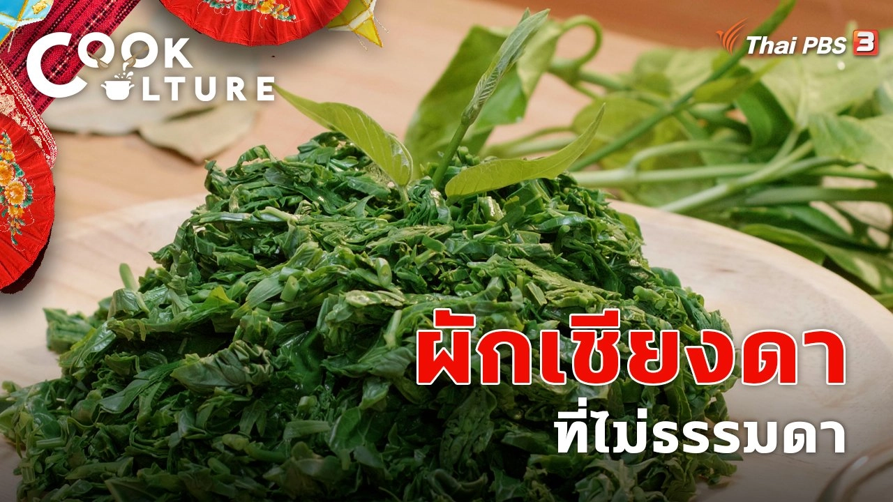 ผักเชียงดา ที่ไม่ธรรมดา