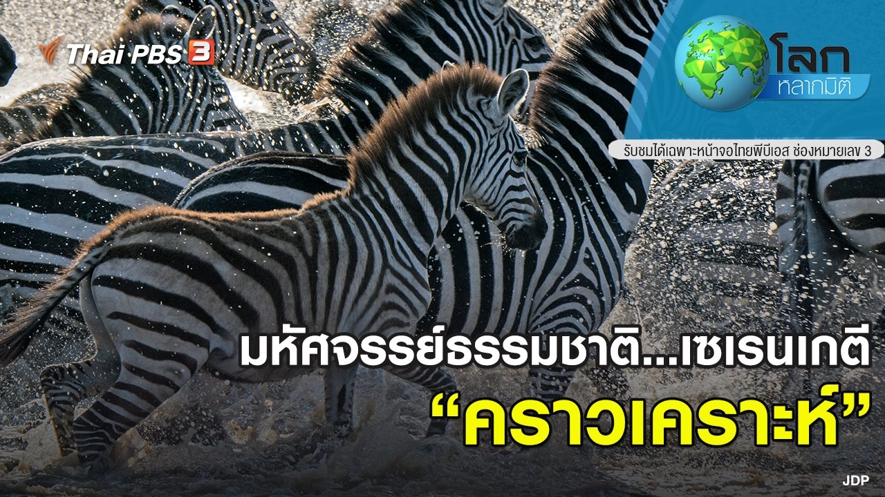 มหัศจรรย์ธรรมชาติ...เซเรนเกตี ตอน คราวเคราะห์