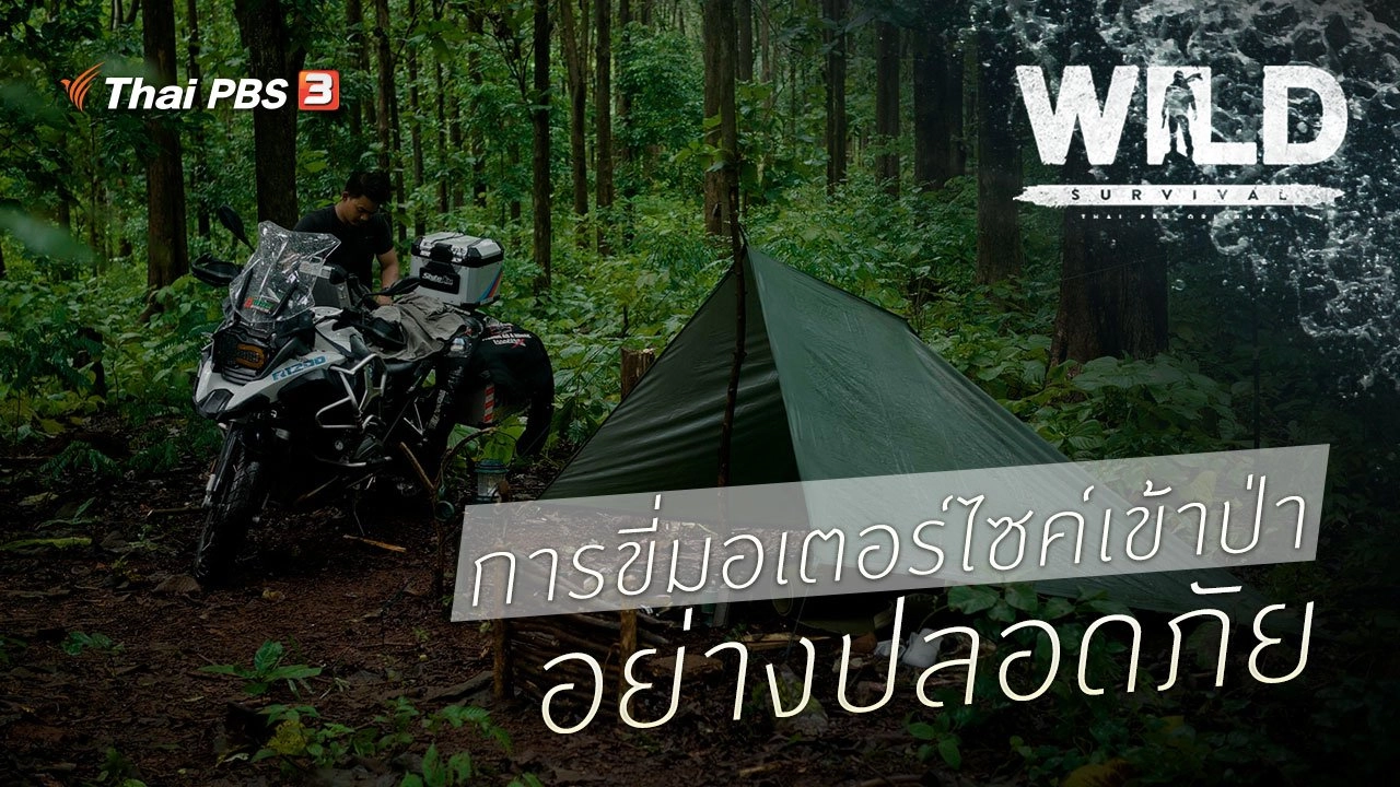 การขี่มอเตอร์ไซค์เข้าป่าอย่างปลอดภัย