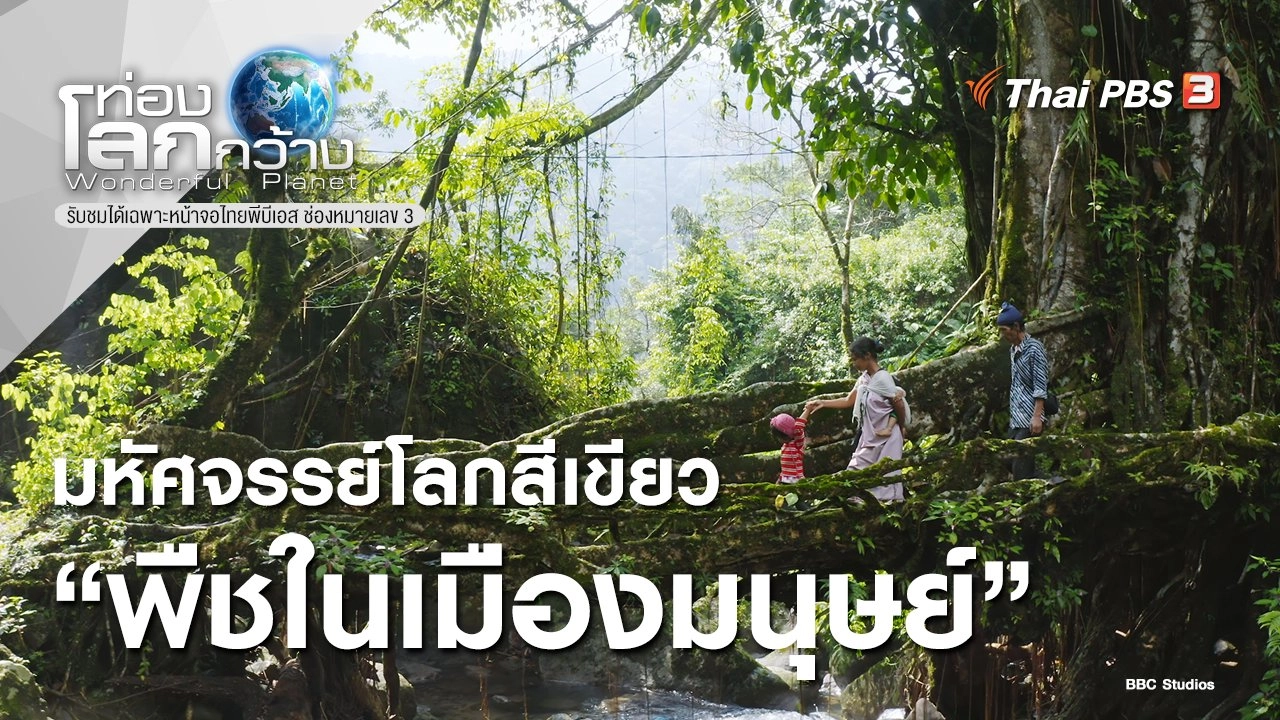 มหัศจรรย์โลกสีเขียว ตอน พืชในเมืองมนุษย์