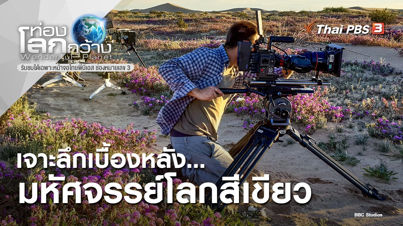 เจาะลึกเบื้องหลัง...มหัศจรรย์โลกสีเขียว