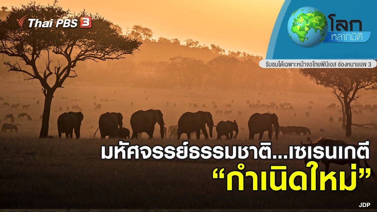 มหัศจรรย์ธรรมชาติ เซเรนเกตี ตอน กำเนิดใหม่