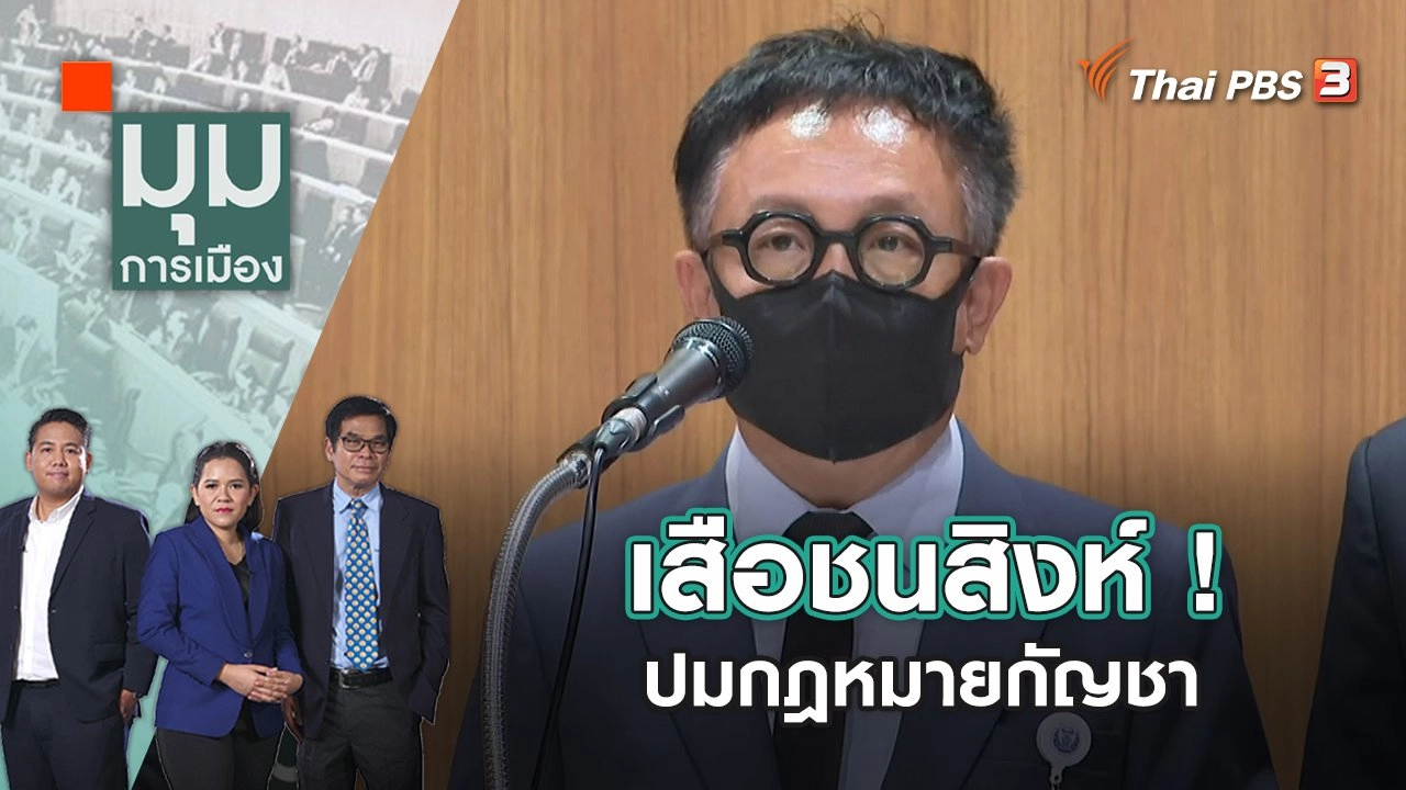 เสือชนสิงห์ ! ปมกฎหมายกัญชา | มุมการเมือง | 15 ก.ย. 65