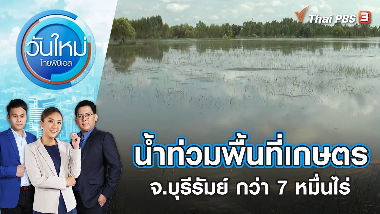 น้ำท่วมพื้นที่เกษตร จ.บุรีรัมย์ กว่า 7 หมื่นไร่ | วันใหม่ ไทยพีบีเอส | 22 ก.ย. 65