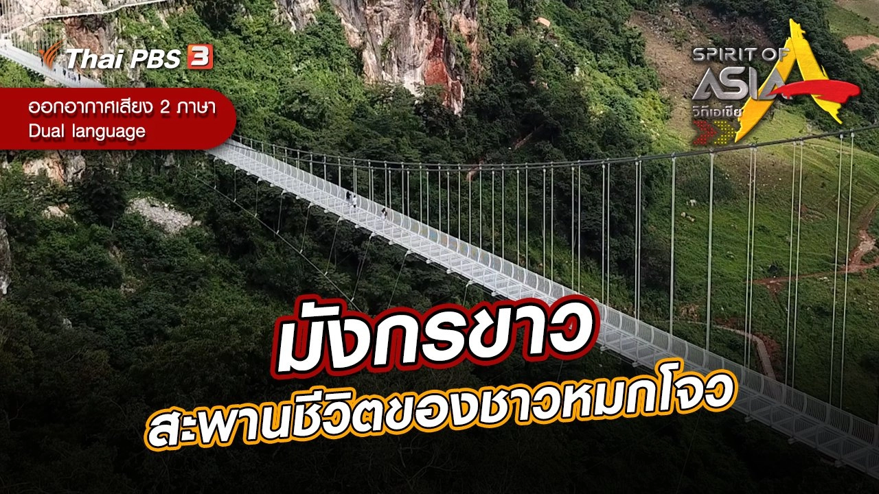 มังกรขาว สะพานชีวิตของชาวหมกโจว