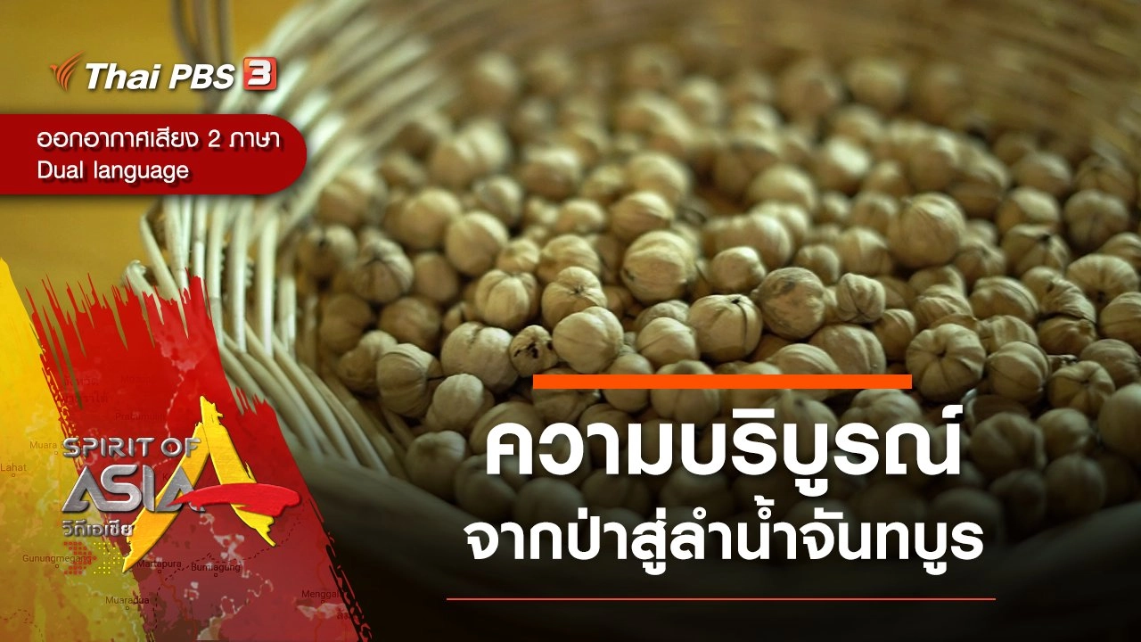 ความบริบูรณ์จากป่าสู่ลำน้ำจันทบูร