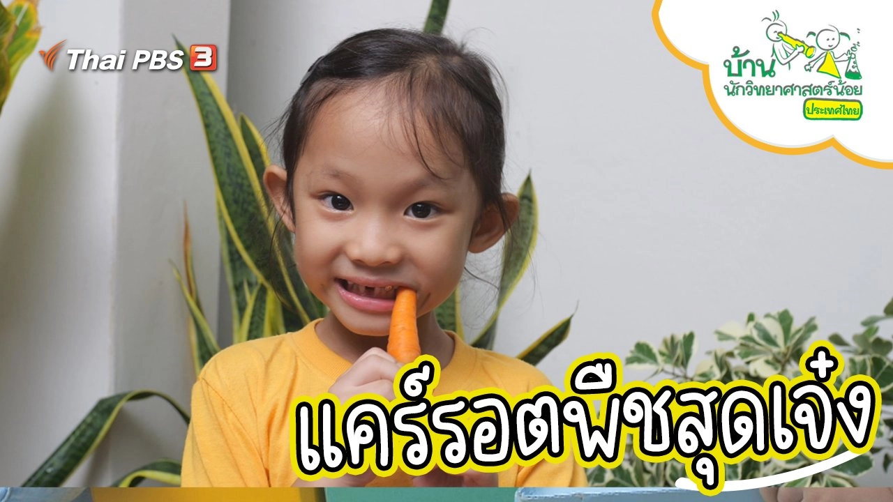 แคร์รอตพืชสุดเจ๋ง