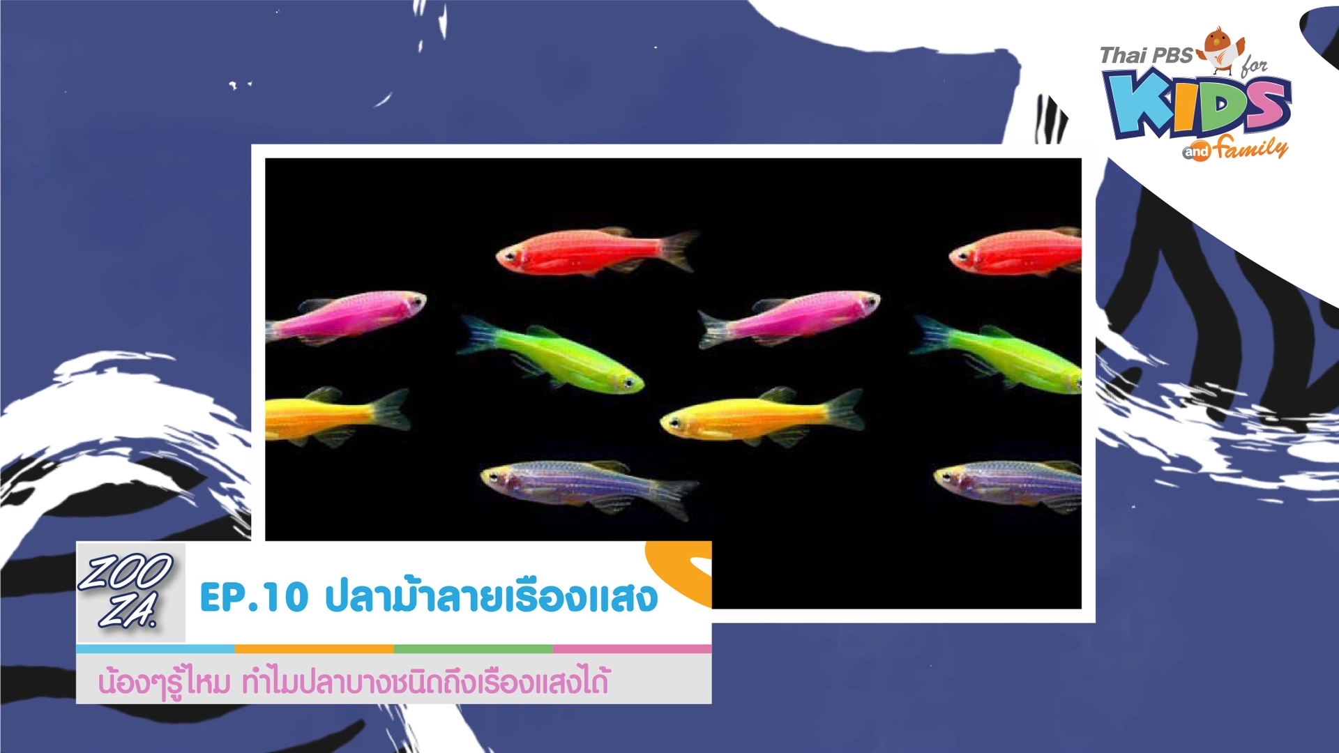 ปลาม้าลายเรืองแสง