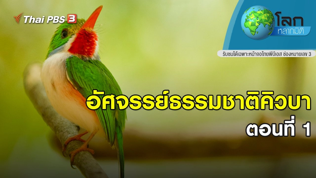 อัศจรรย์ธรรมชาติคิวบา ตอนที่ 1